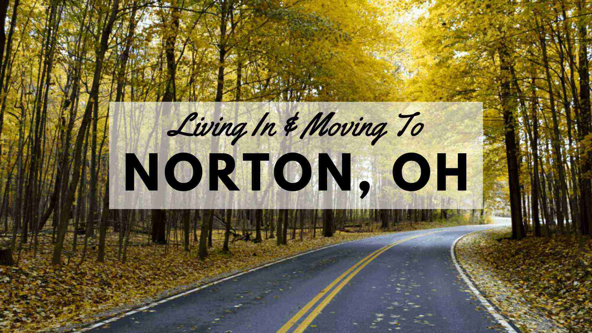 Living in & Moving to Norton, OH