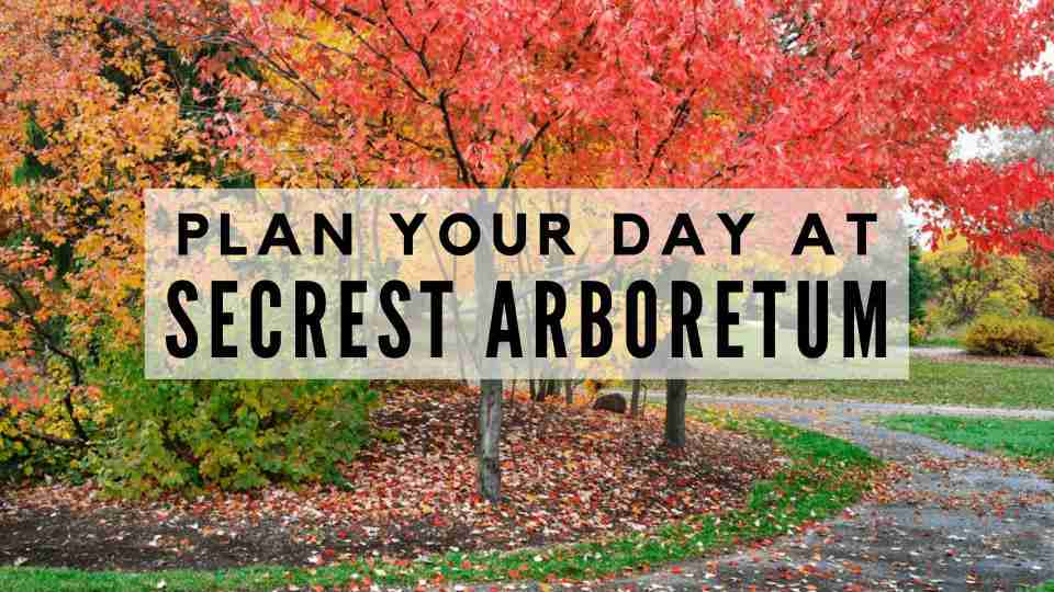 Plan Your Day at Secrest Arboretum