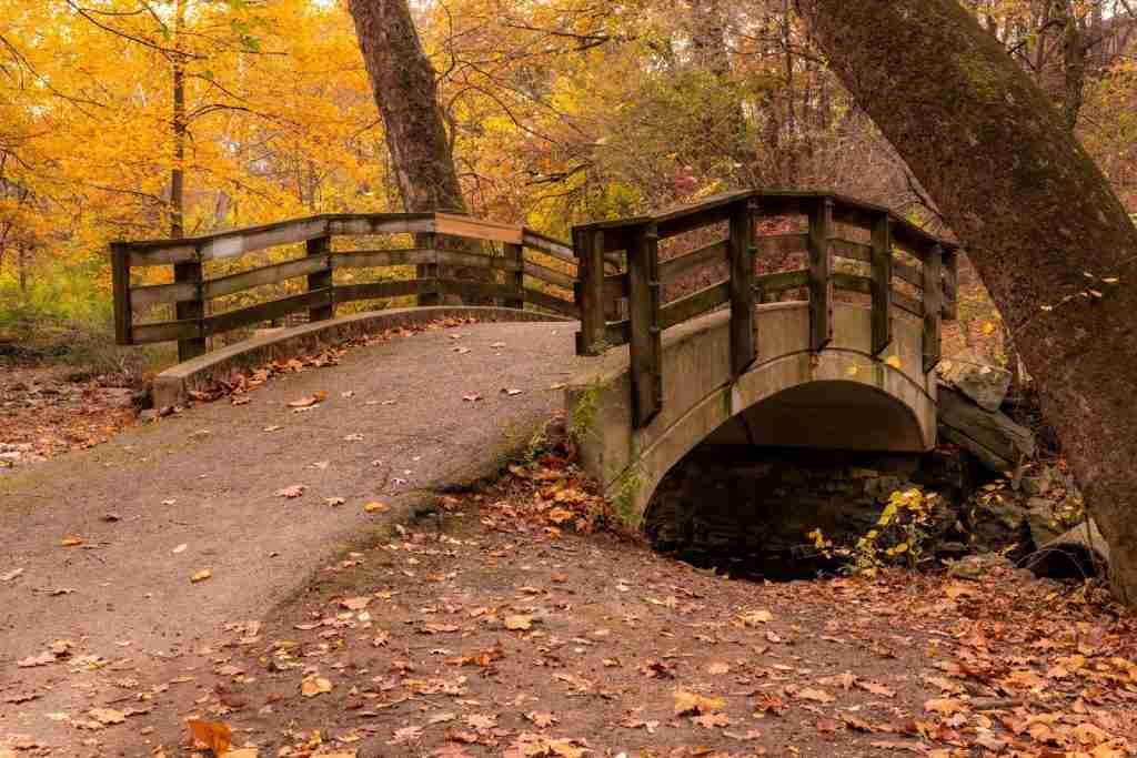 A small wooden bridge in Clintonville, Ohio, surrounded by vibrant autumn foliage, with fallen leaves scattered on the path.