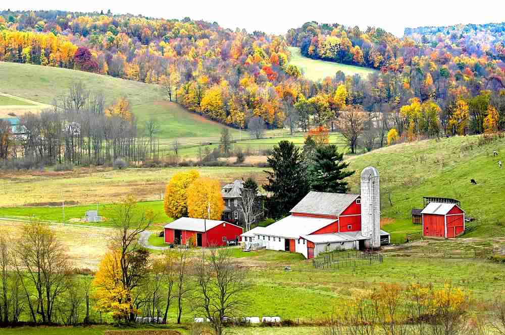 Red barns on rolling hills in ohio