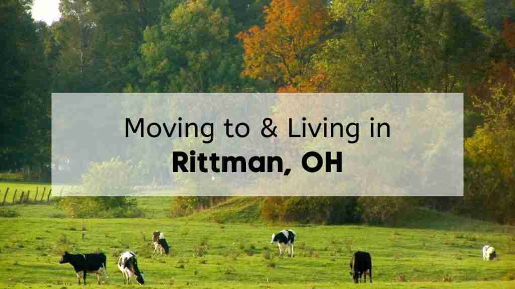 Cows grazing on a farm in Wayne County near Rittman, with the text, "Moving to & Living in Rittman, OH," overlaid